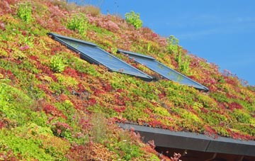 Keyston living roof systems